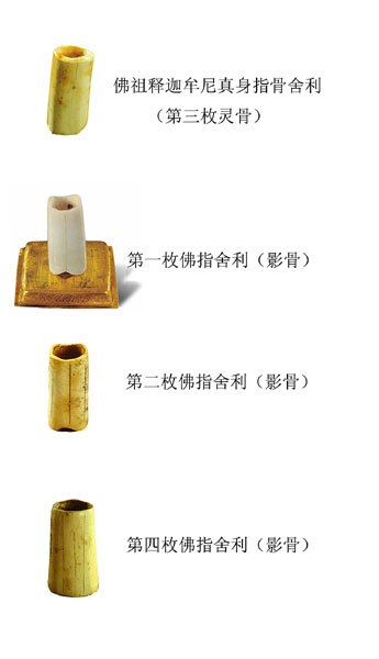 法门寺发现的佛祖真身舍利及影骨