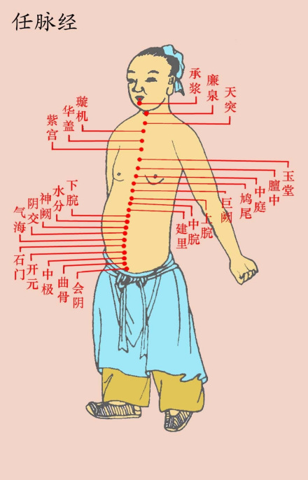任脉经