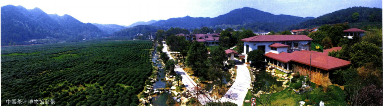 全景