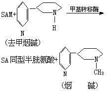 生物转化