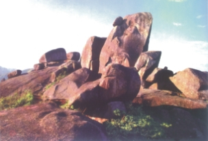 浙江披云山
