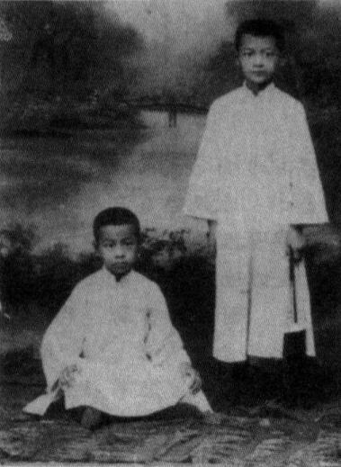 徐迟与徐舜寿