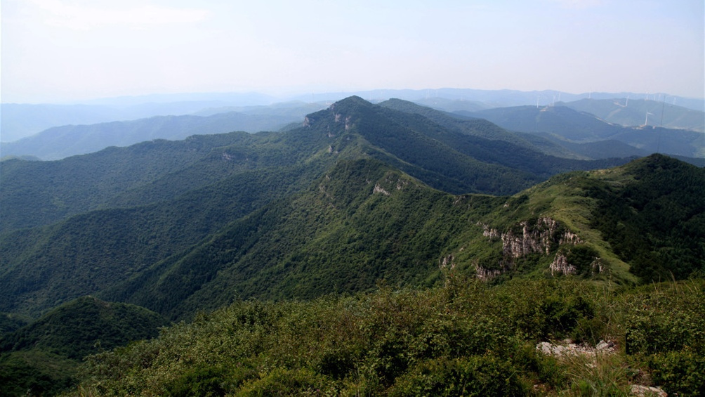坪塔梁