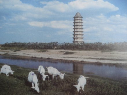 舍利宝塔