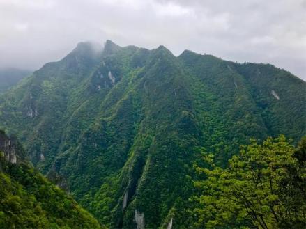 蟒蛇山