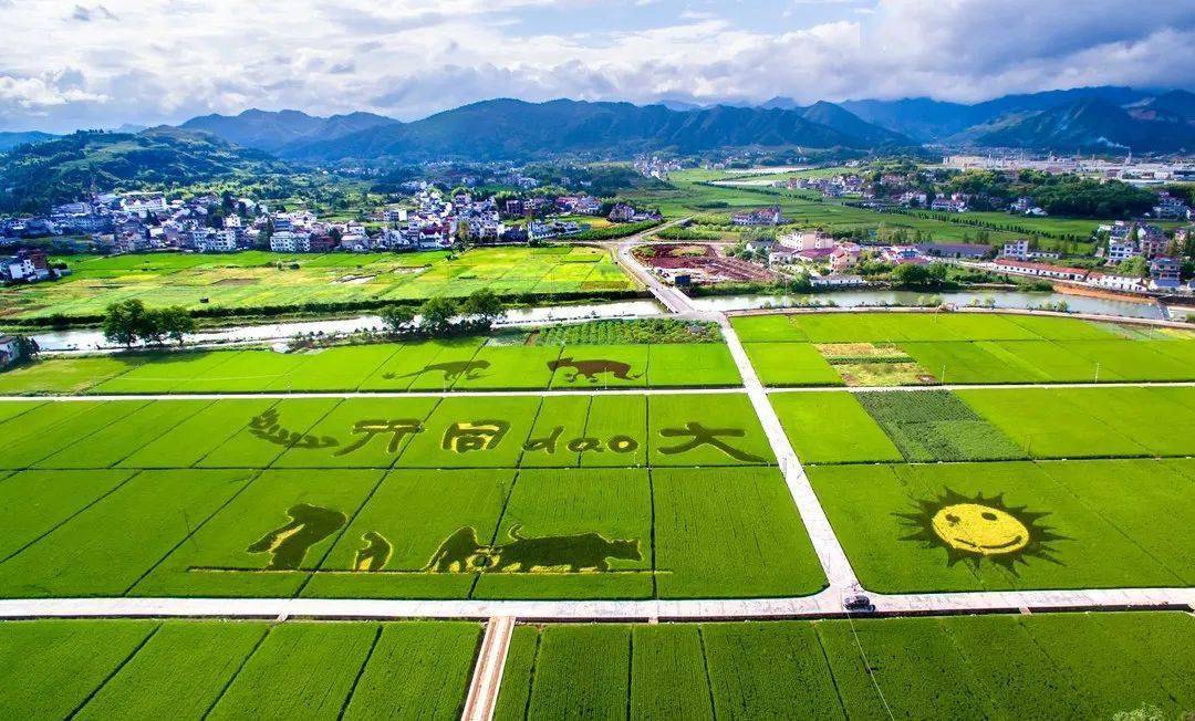 建德市平原地区