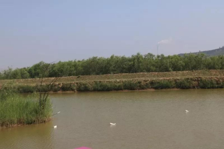 潼关古渡坊景区