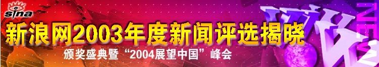 新浪网2003年度十大新闻评选海报