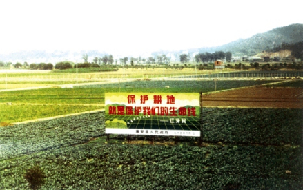 保护耕地就是保护我们的生命线