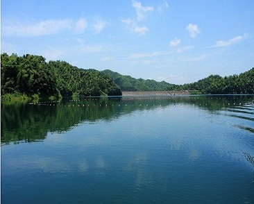 鸡水环清