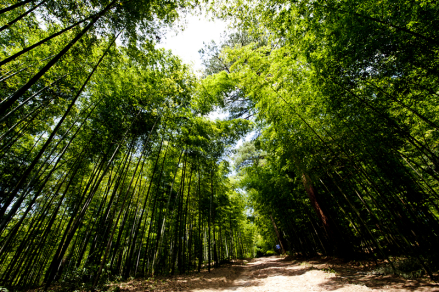古剑山风景区