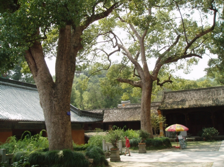 国清寺