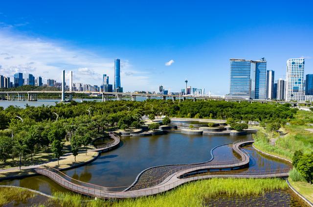 横琴湿地