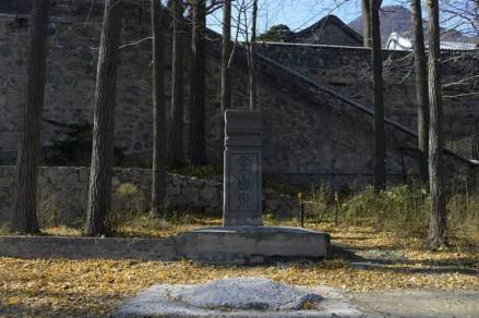 金山泉
