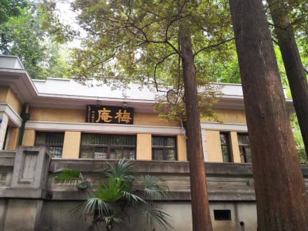 梅庵