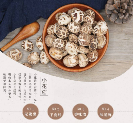 寿宁花菇