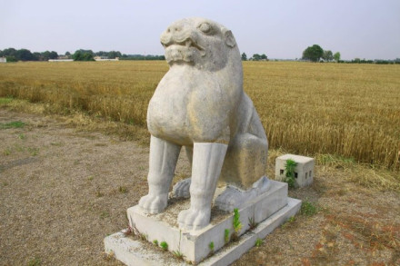 石虎