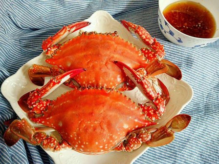 三疣梭子蟹