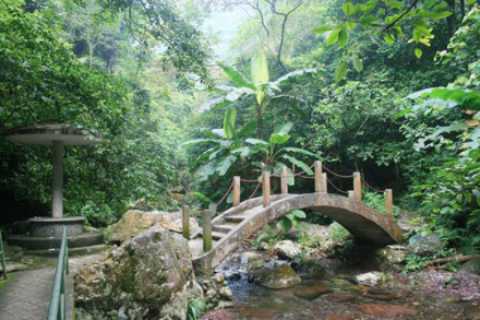 百崖大峡谷 