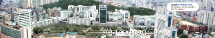 弘益大学首尔校区