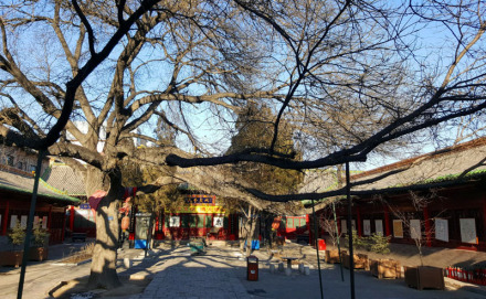 汾阳关帝庙
