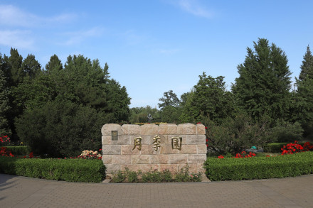 月季园
