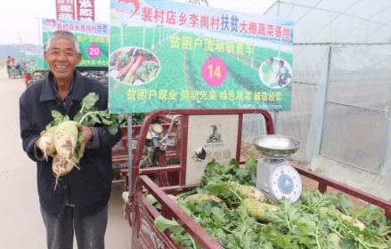 裴村店乡扶贫大棚基地
