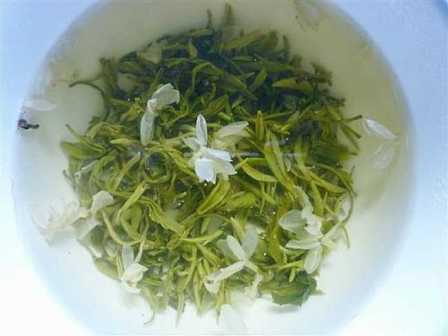 绿茶的图片18