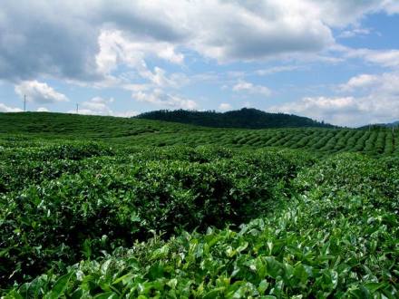 草庙山风光