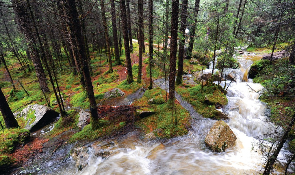 焉支山山间泉溪