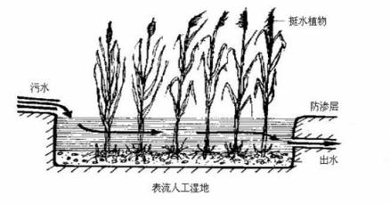 人工湿地