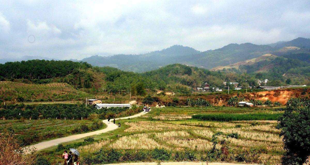 瑞丽田地