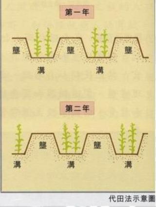 代田法示意图