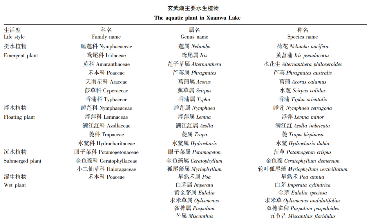 玄武湖主要水生植物 