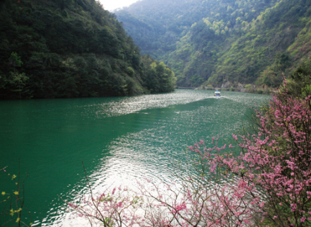 浦江县风光