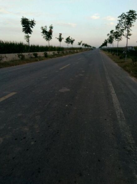 山后马路