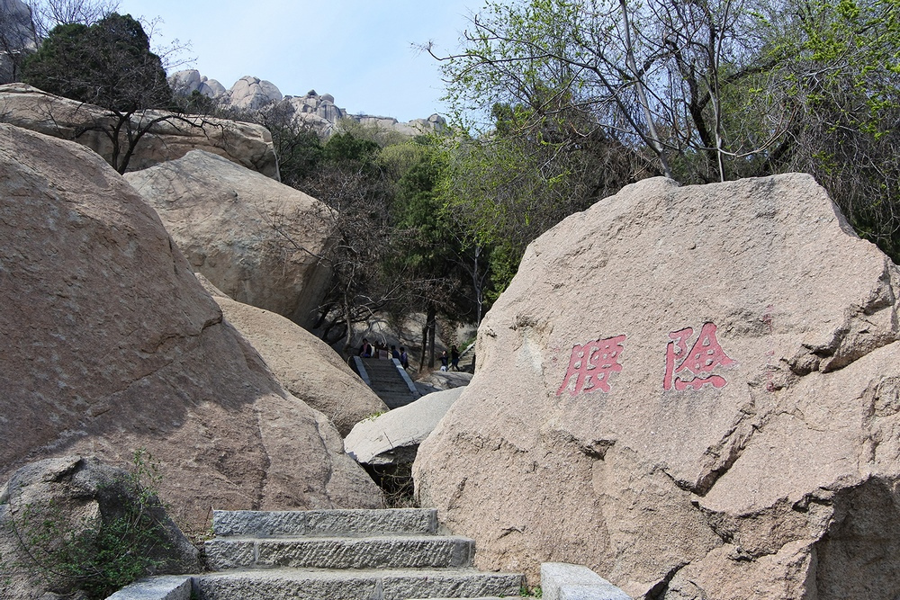 险腰