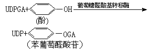 生物转化
