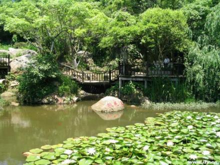 桃花寨