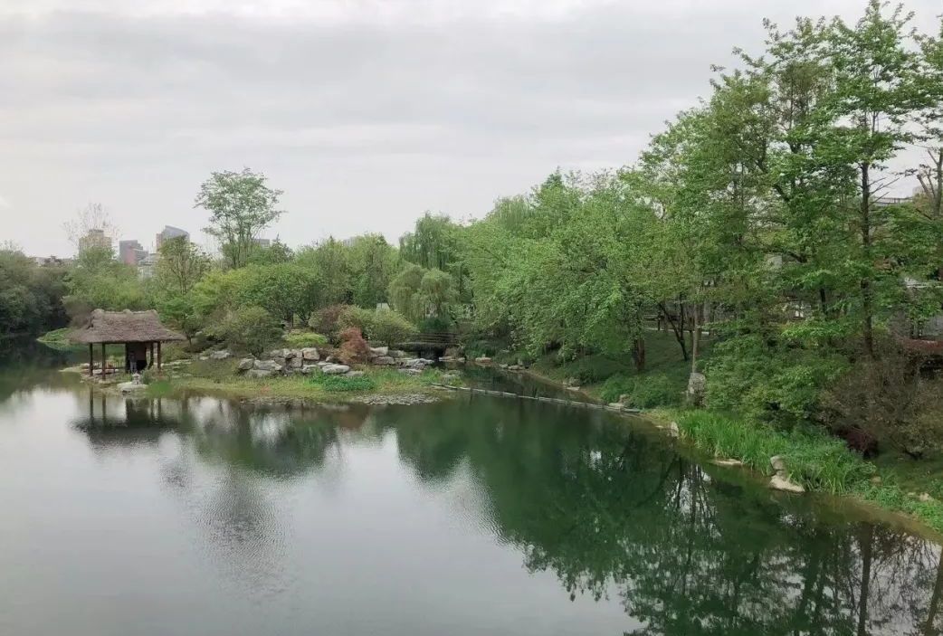 浣花溪公园景色