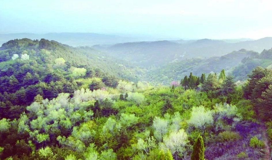 羊头山