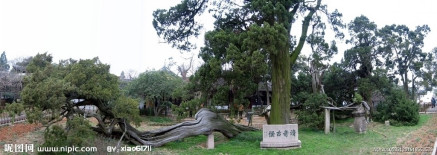 光福古镇清奇古怪