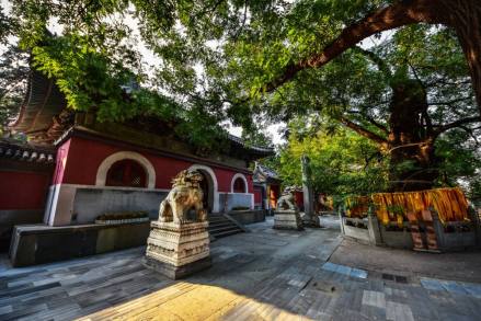 戒台寺