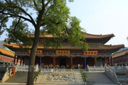 大兴善寺