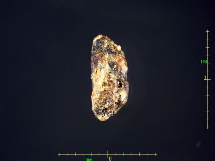 上山遗址碳化米粒