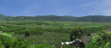岗地