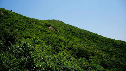 大阳山国家森林公园