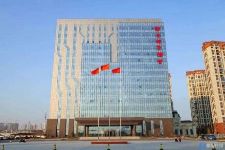 金种子集团