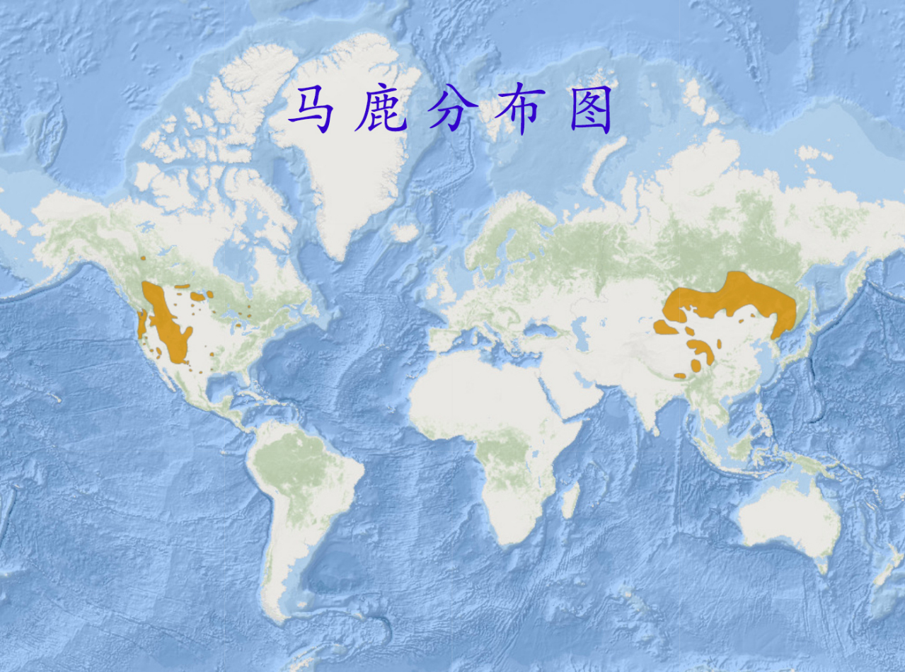 马鹿分布图 