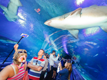 吉隆坡城中城水族馆